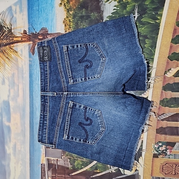 Ag Adriano Goldschmied Hailey Ex Boyfriend Frayed Hem Denim Shorts Size 25 - Picture 5 of 5